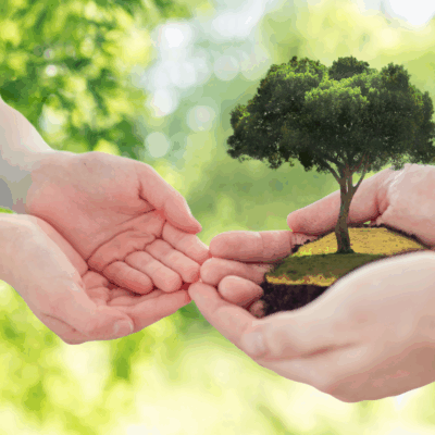 Formation perfectionnement - Transes générationnelles